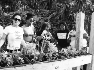 (L-R) AKAs Joanna Adorne, Alicia Faison, Dale Bell, Candance Ford and Tonya Brown at work.