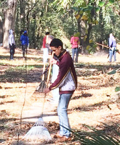 Austin Sams rakes near a grave